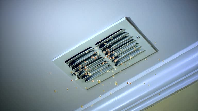 Best Affordable HVAC Duct Cleaning  in Linden, MI