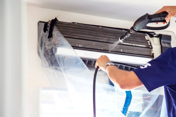 Best HVAC System Cleaning  in Linden, MI