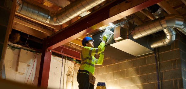 Best Air Vent Cleaning Services  in Linden, MI