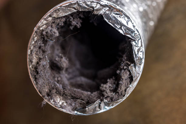 Best Air Duct Cleaning Near Me  in Linden, MI