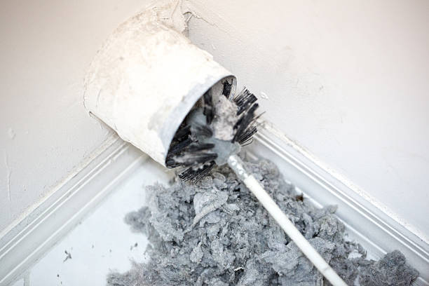 Best Air Duct Cleaning Near Me  in Linden, MI