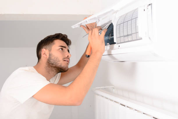 Best Air Duct Cleaning Near Me  in Linden, MI