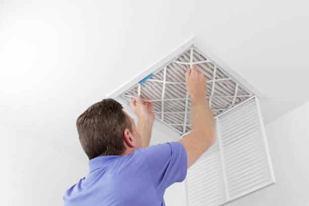Best Commercial HVAC Duct Cleaning  in Linden, MI